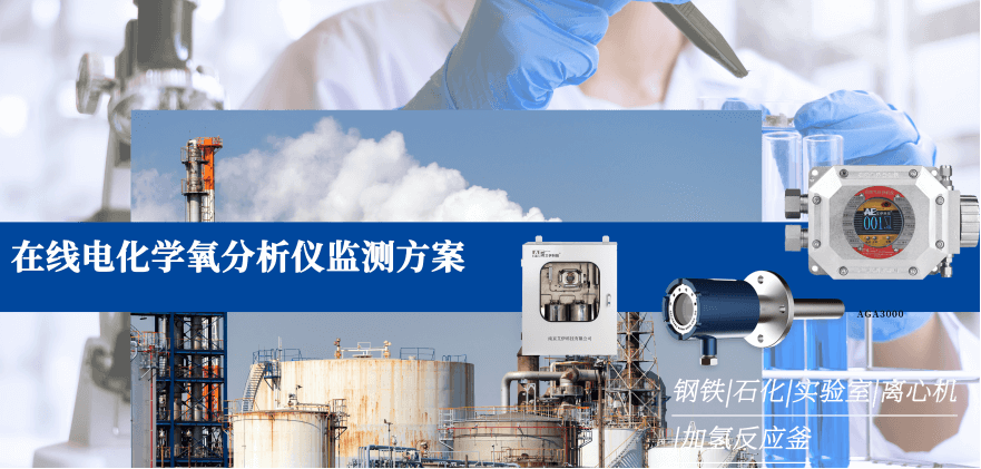 電化學(xué)氧檢測(cè)分析儀